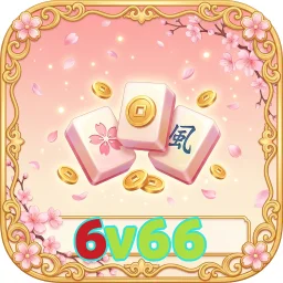 6v66