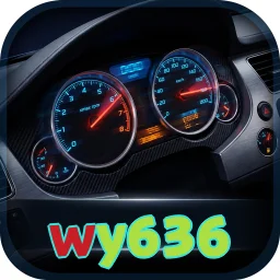 wy636